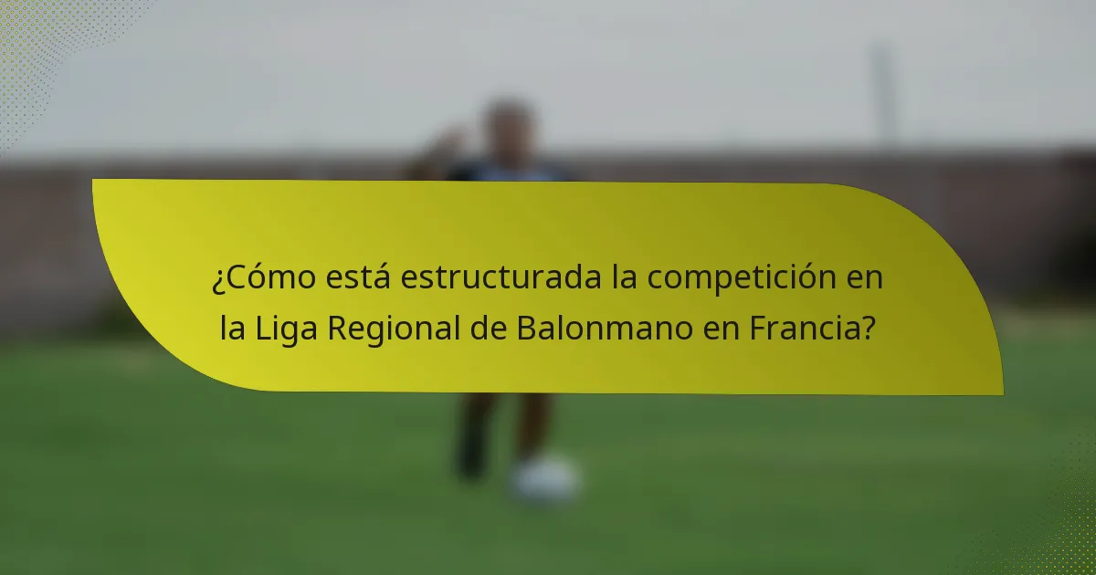 ¿Cómo está estructurada la competición en la Liga Regional de Balonmano en Francia?