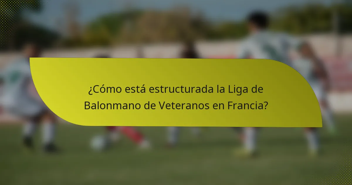 ¿Cómo está estructurada la Liga de Balonmano de Veteranos en Francia?