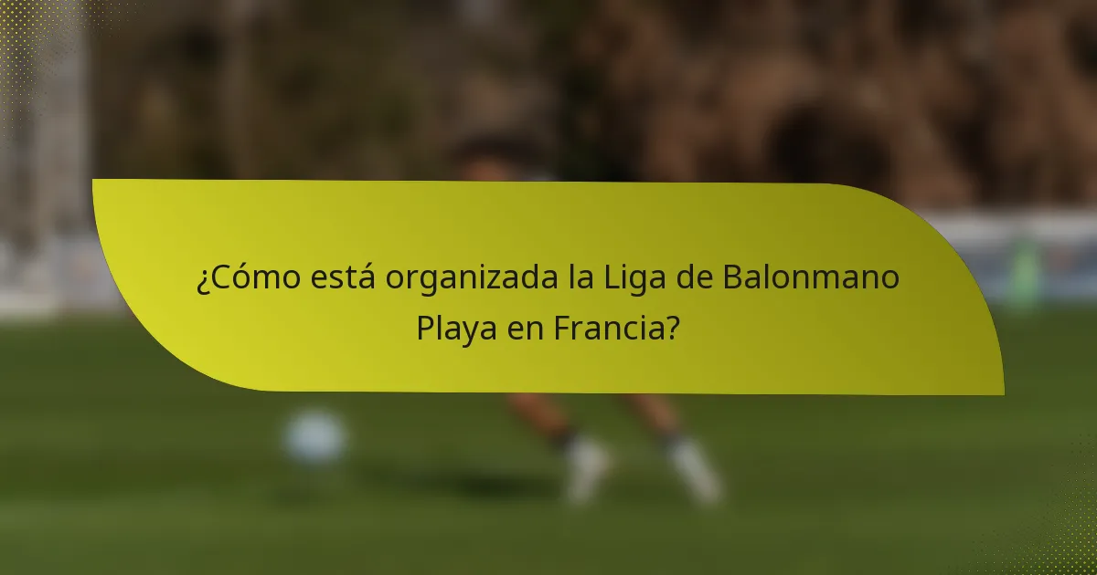 ¿Cómo está organizada la Liga de Balonmano Playa en Francia?