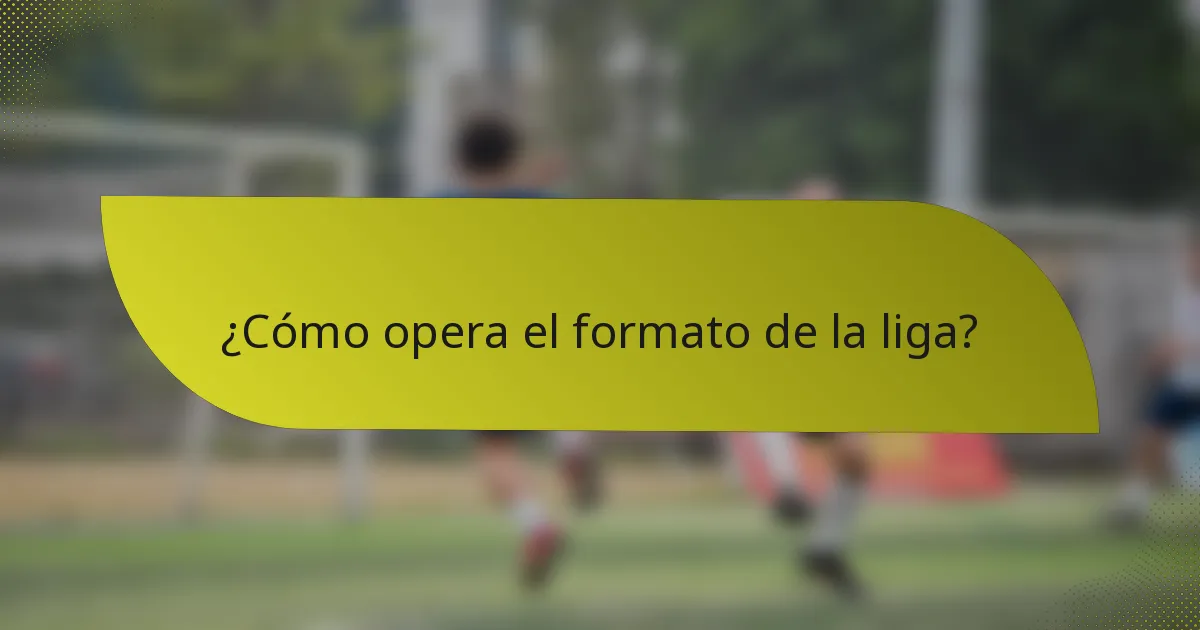 ¿Cómo opera el formato de la liga?