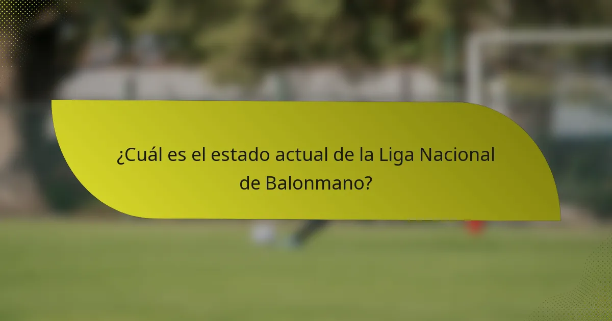 ¿Cuál es el estado actual de la Liga Nacional de Balonmano?