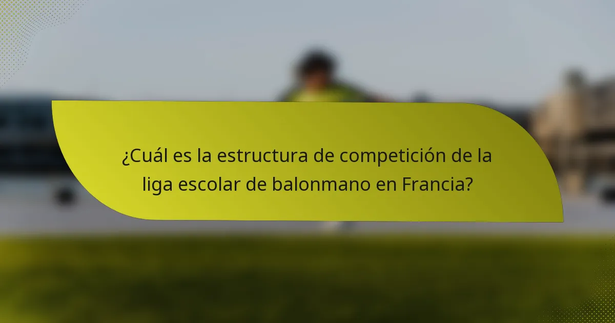 ¿Cuál es la estructura de competición de la liga escolar de balonmano en Francia?