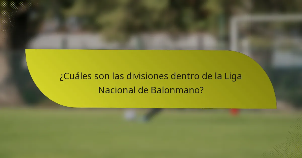 ¿Cuáles son las divisiones dentro de la Liga Nacional de Balonmano?
