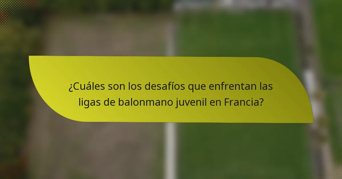 ¿Cuáles son los desafíos que enfrentan las ligas de balonmano juvenil en Francia?