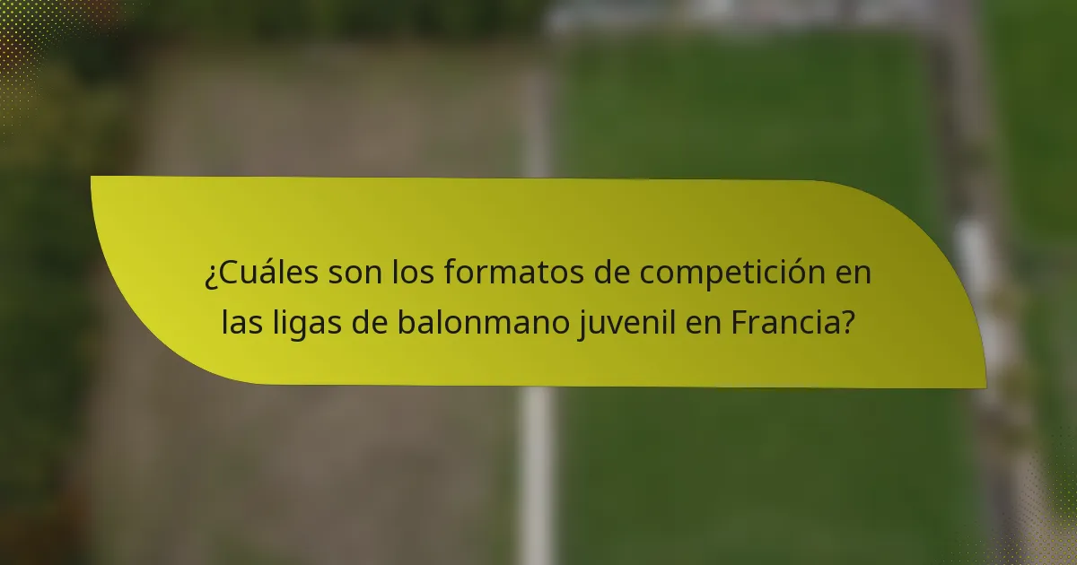 ¿Cuáles son los formatos de competición en las ligas de balonmano juvenil en Francia?