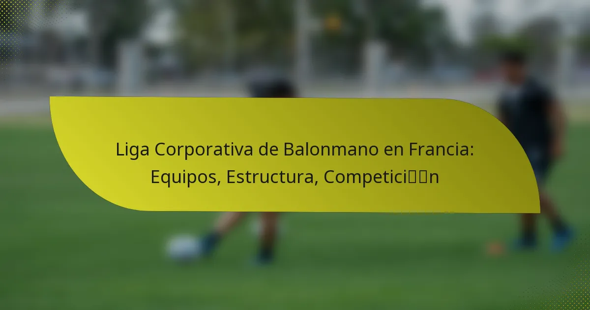 Liga Corporativa de Balonmano en Francia: Equipos, Estructura, Competición