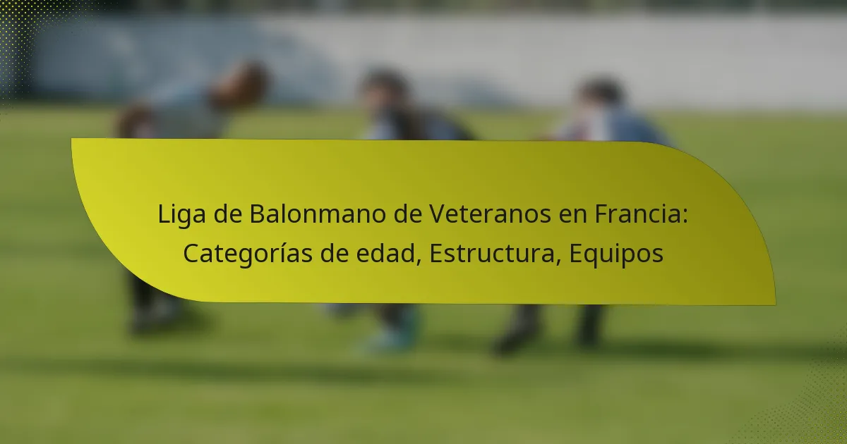 Liga de Balonmano de Veteranos en Francia: Categorías de edad, Estructura, Equipos
