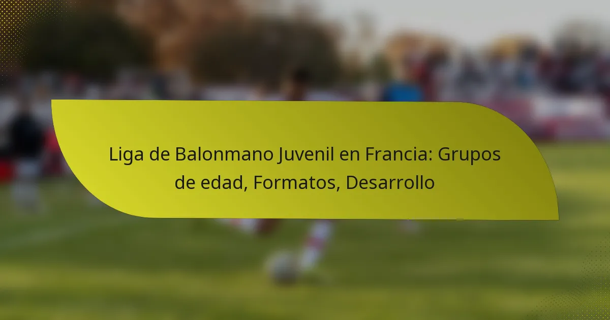 Liga de Balonmano Juvenil en Francia: Grupos de edad, Formatos, Desarrollo
