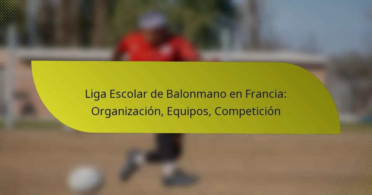 Liga Escolar de Balonmano en Francia: Organización, Equipos, Competición