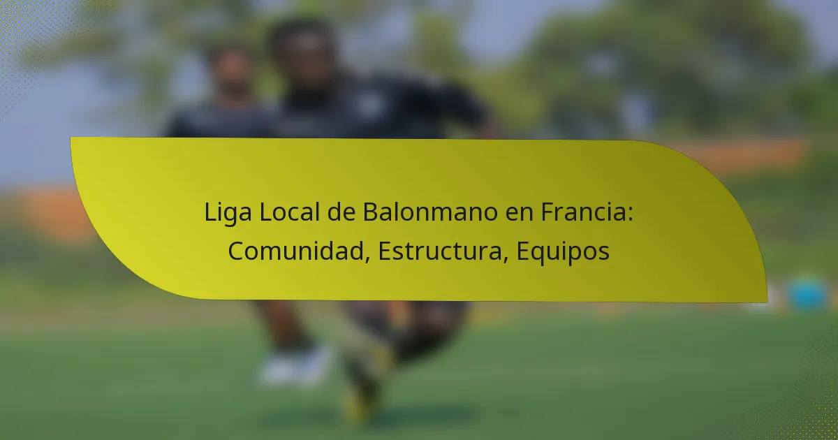 Liga Local de Balonmano en Francia: Comunidad, Estructura, Equipos