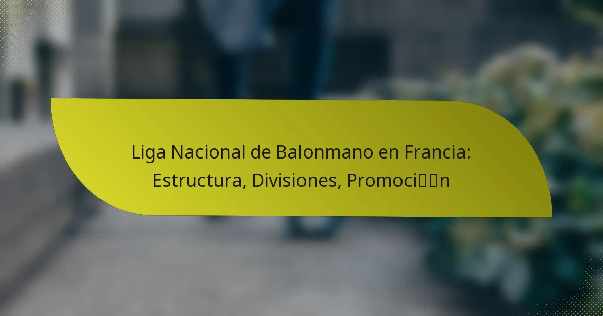 Liga Nacional de Balonmano en Francia: Estructura, Divisiones, Promoción