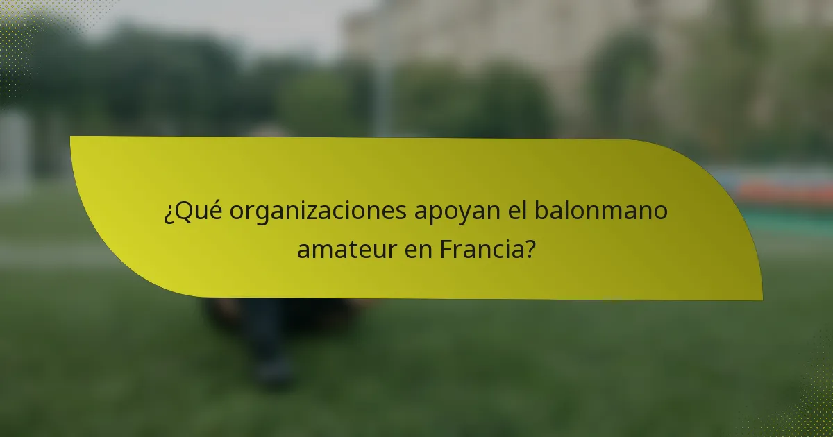 ¿Qué organizaciones apoyan el balonmano amateur en Francia?