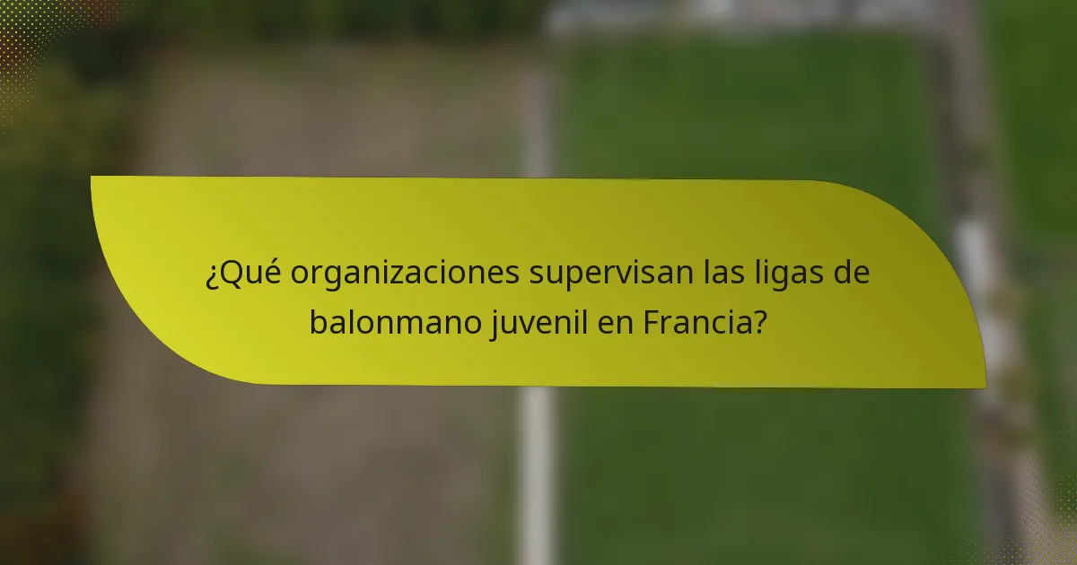 ¿Qué organizaciones supervisan las ligas de balonmano juvenil en Francia?