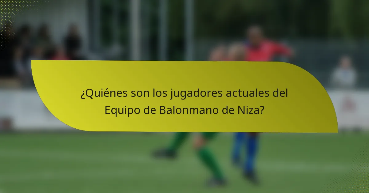 ¿Quiénes son los jugadores actuales del Equipo de Balonmano de Niza?